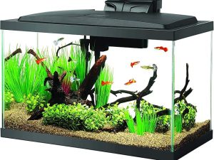 Aqueon Aquarium Fish Tank Starter Kit with LED Lighting